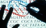 基因治疗20年回顾展望（4）：基因治疗的极限