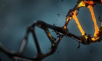 “垃圾DNA”突变可能引起自闭症