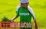 瑞士先正达种业在中国小学生中进行转基因大米实验