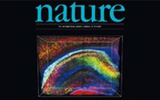 5月16日Nature 杂志生物学精选