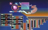 鲁比肯基因组公司推出新的DNA扩增技术