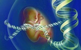 研究认为基因检测在产前诊断中意义重大