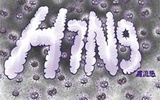 H7N9等疾病监测获3亿元财政拨款