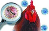 《人感染H7N9禽流感诊疗方案（2013年第2版）》发布