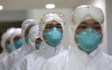 世界联合考察组：中国应对H7N9疫情工作堪称典范