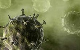 Science：中国新型禽流感病毒（H7N9）的忧虑和迷惑