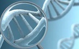 中国生物产业：不是“垃圾DNA”