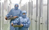 西南合成抗癌新药进入Ⅱ、Ⅲ期临床试验