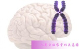 中科院昆明动物所揭示人类大脑容量相关基因
