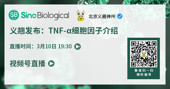 TNF-α：历久弥新的促炎细胞因子靶点