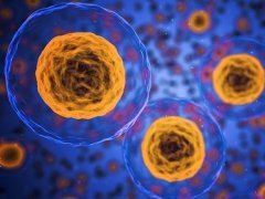 Science Advances | 同济大学朱小立教授团队开发一种新的单细胞空间蛋白质组学成