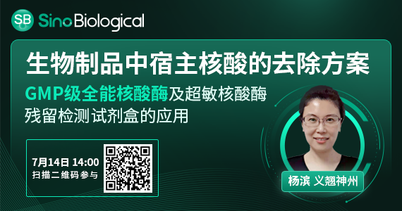 生物制品中的外源宿主核酸该怎么去除呢？结合GMP超级核酸酶的应用分享解决方