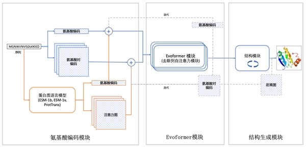 比AlphaFold2效果好，比Meta ESMFold参数小！ 许锦波团队完成蛋白质结构预测三级进