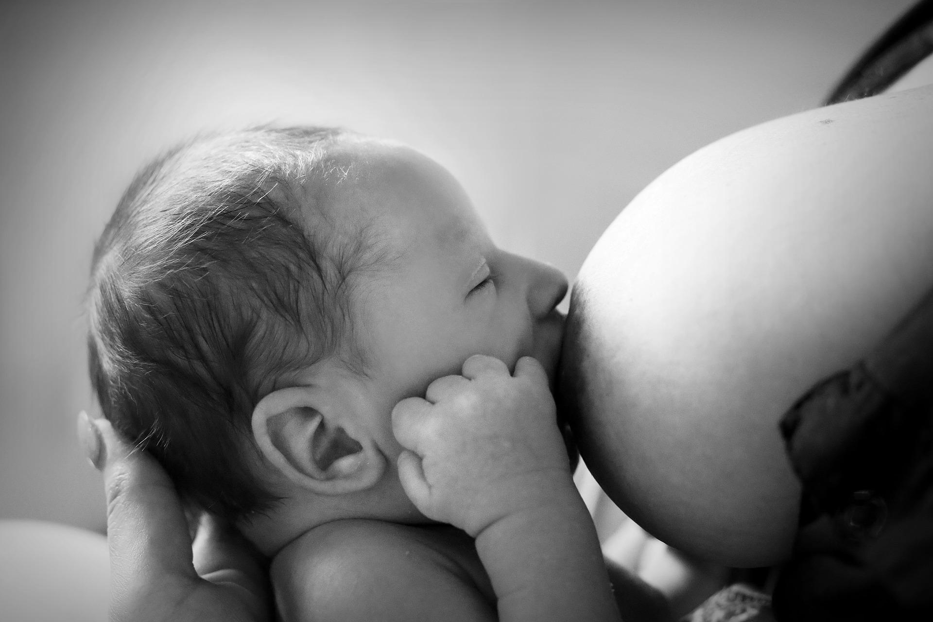 母乳助建婴儿肠道屏障，而配方奶粉不行！