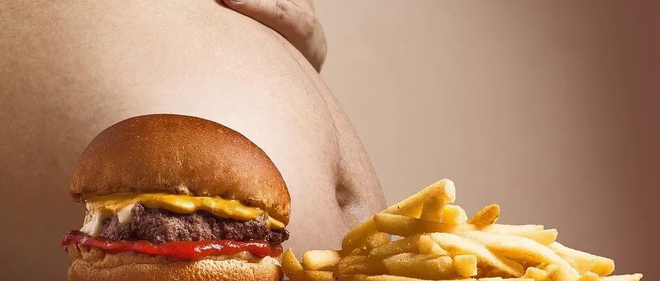 游泳圈、啤酒肚不再烦恼！Nature子刊发现减少脂肪的关键