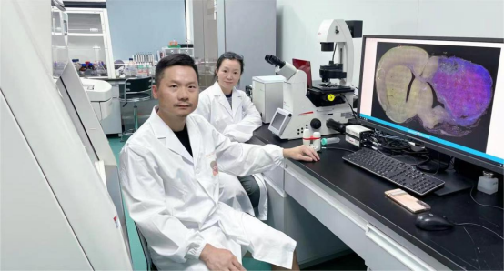 华人团队发现多能干细胞安全诱导新方法，基于声表面波加速细胞分化