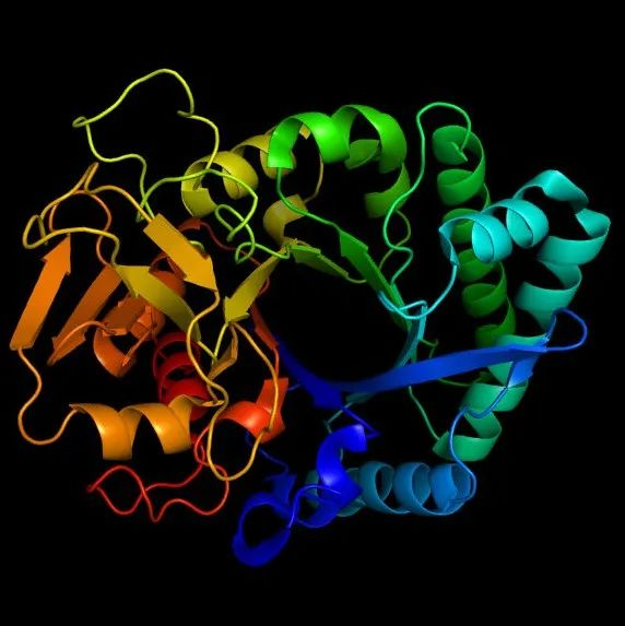 <b>首创引入蛋白动态信息的AI模型，高效预测药物-蛋白亲和力</b>