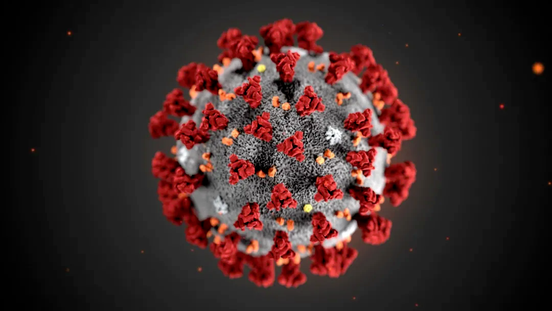 Nature：尸检发现，感染新冠7个月后，身体和大脑中仍有病毒