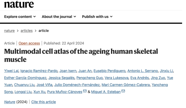为什么老年人容易摔跤？华大等绘制迄今最完整肌肉衰老过程单细胞图谱