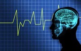 美国新研究首次揭示人脑在无意识状态下的活动方式