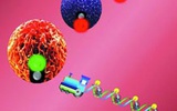 湖南大学谭蔚泓研发DNA“纳米火车”靶向大量递送抗癌药