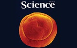 5月24日Science杂志精选