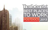 2013年美国生物博士后最佳雇主排名