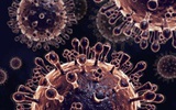 三人感染H7N9病毒两人死亡：尚无针对性疫苗