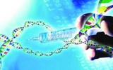 个人基因检测：在中国悄然兴起