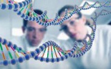 个人基因组测序: 高端体检走近寻常百姓
