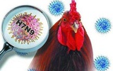 北京又确诊一人感染H7N9禽流感 患者病情加重