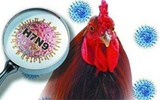 北京疾控中心发文《新英格兰医学杂志》报告H7N9禽流感