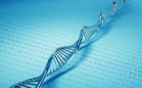 人类遗传信息的破译将拉动生命科学产业大发展