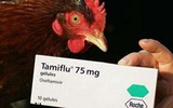 The Lancet：H7N9病毒出现耐药变异