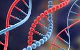 研究认为基因决定人能否成功