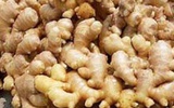 食品安全令人担忧：山东部分姜农用剧毒农药种植生姜