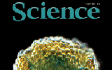 4月5日Science杂志精选
