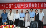 生物产业确立为战略性新兴产业  将成国民经济支柱