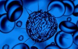 干细胞治疗自闭症临床试验遭质疑