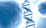 Nature：人体细胞间的DNA并非完全一致