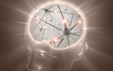 研究发现大脑细胞的寿命是正常细胞的两倍