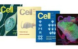 Cell杂志最受关注十篇文章（9月）