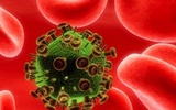 研究发现失活HIV具有抗艾滋病效果