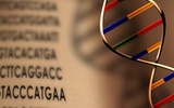 中科院发布转基因技术研究倡议书：践行负责任的科学研究