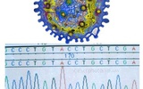 基因测序全面揭示乙肝病毒整合机制