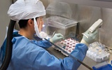 人工制造H7N9变异病毒是福是祸?