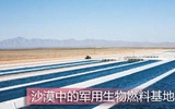 美国军方成为生物燃料背后的主要推手