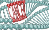 Science：肿瘤基因数据对目前实验方法提出质疑