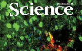 9月20日 Science 杂志精选