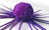 PNAS：科学家发现先导化合物“饿死”癌细胞